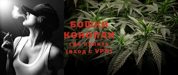 соль ск Богородск